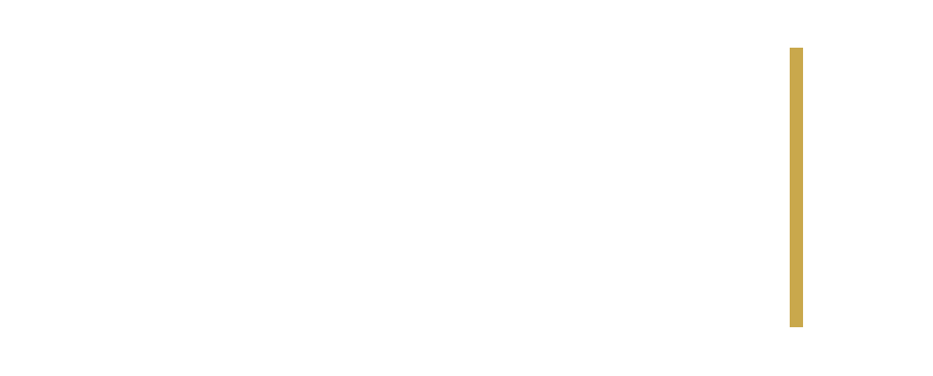 Verza Holdings Group - Business Turnaround & Strategic Partnerships